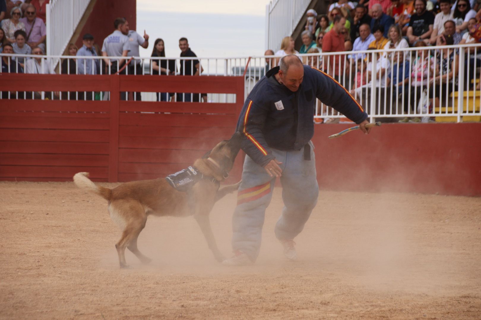 Exhibición canina policía nacional en Salamaq 2024