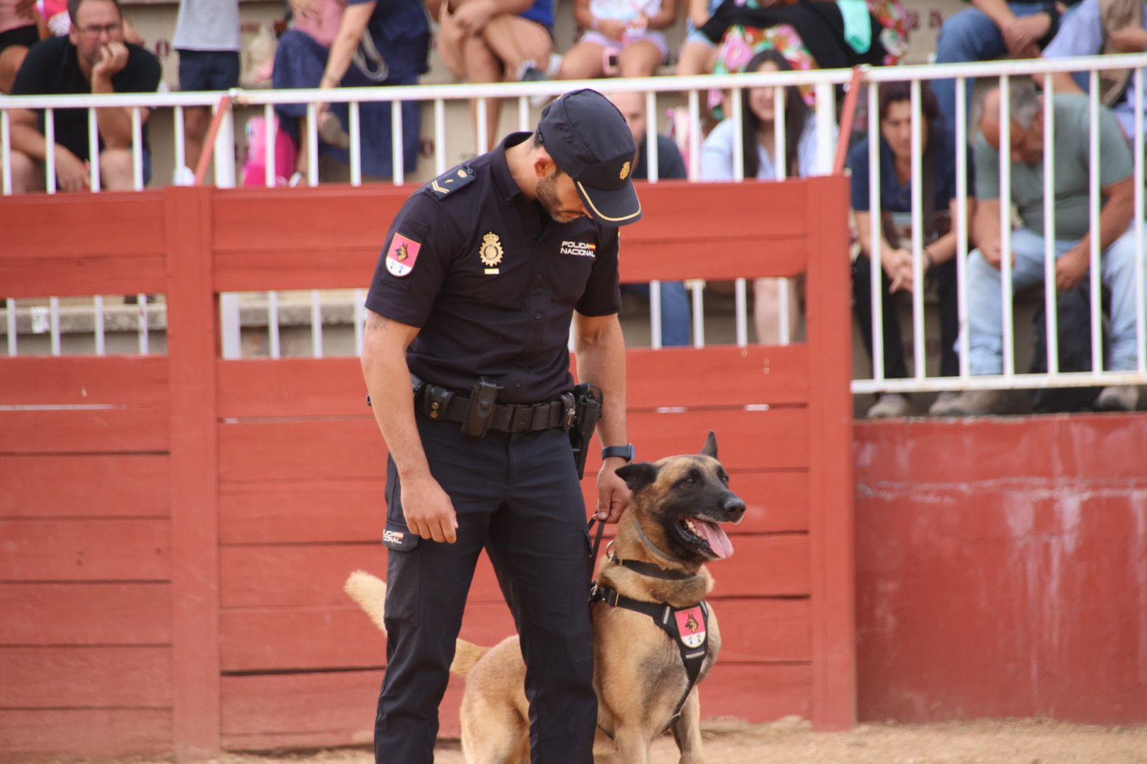 Exhibición canina policía nacional en Salamaq 2024