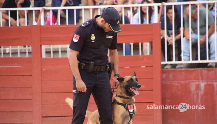 Exhibición canina policía nacional en Salamaq 2024