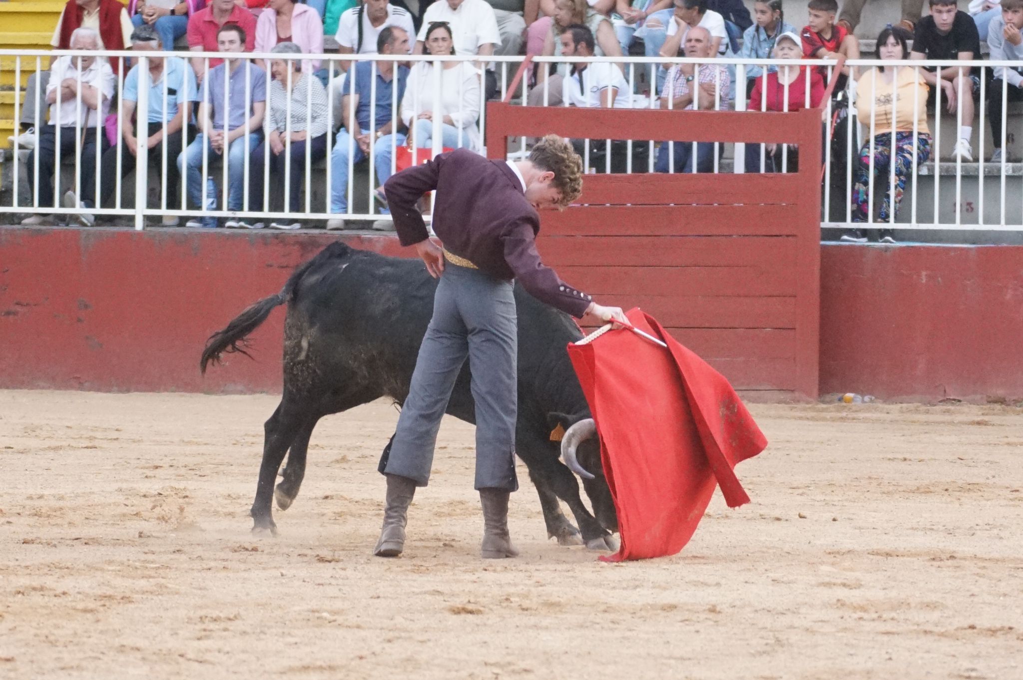 Primera clase práctica de tauromaquia de Salamaq