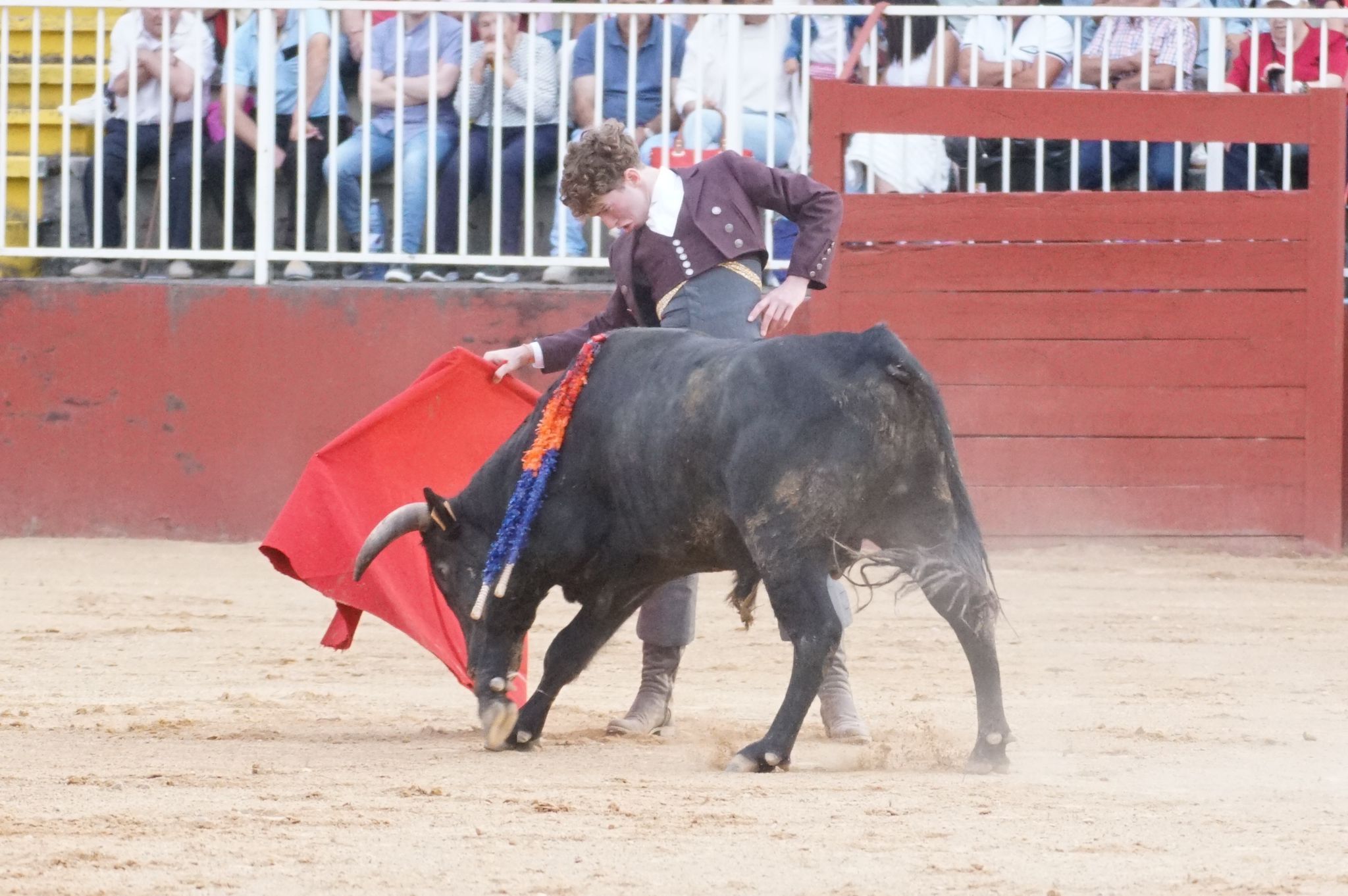 Primera clase práctica de tauromaquia de Salamaq