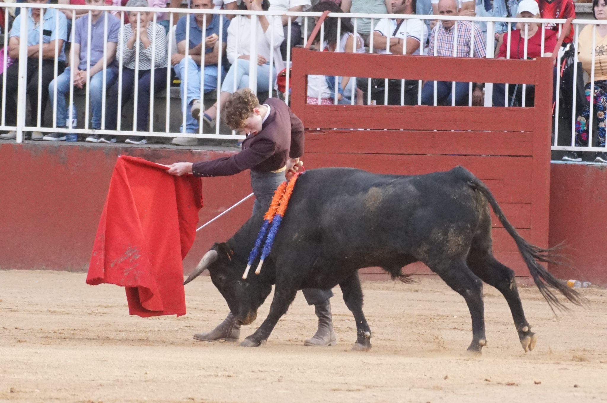 Primera clase práctica de tauromaquia de Salamaq