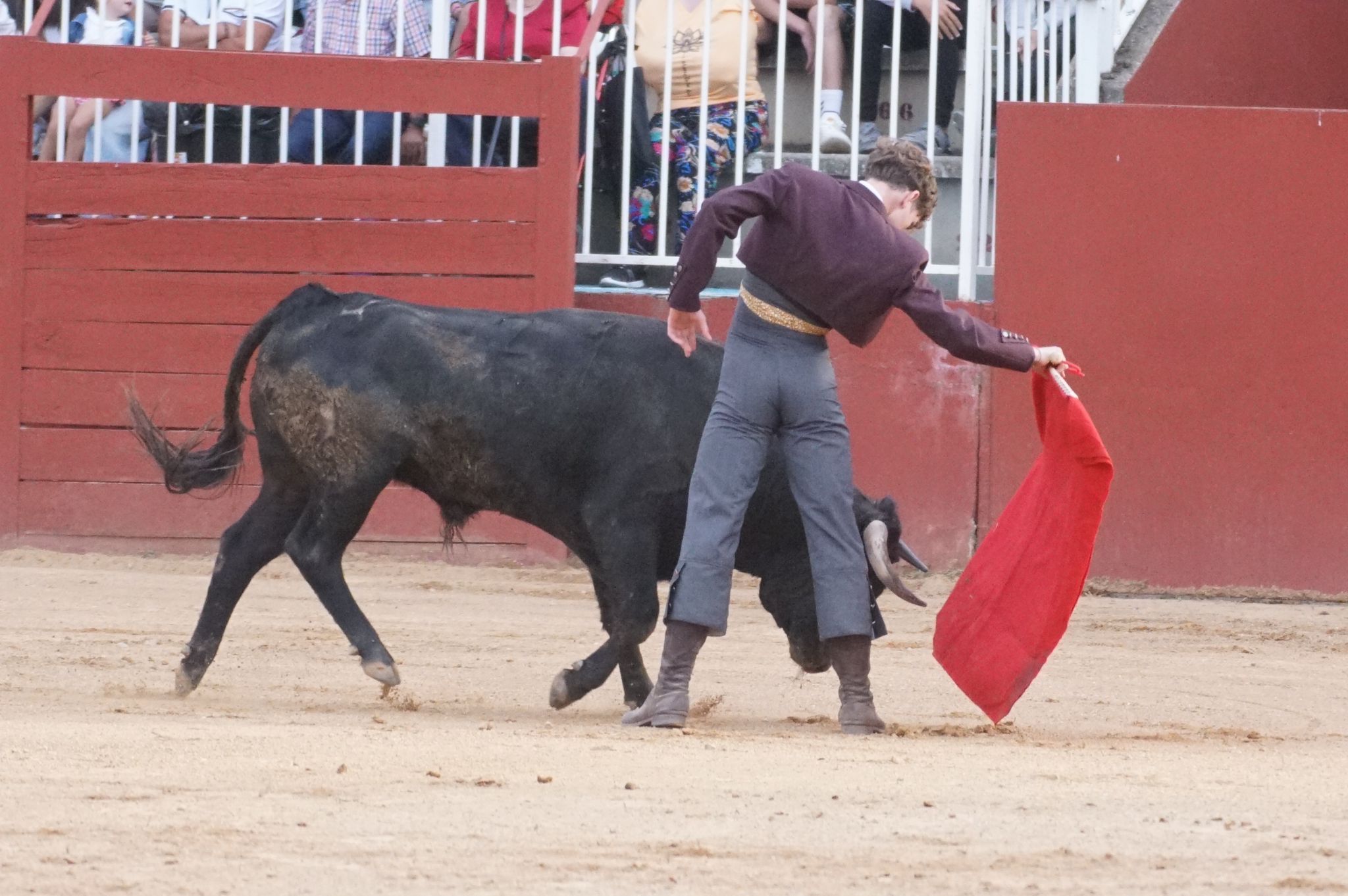 Primera clase práctica de tauromaquia de Salamaq