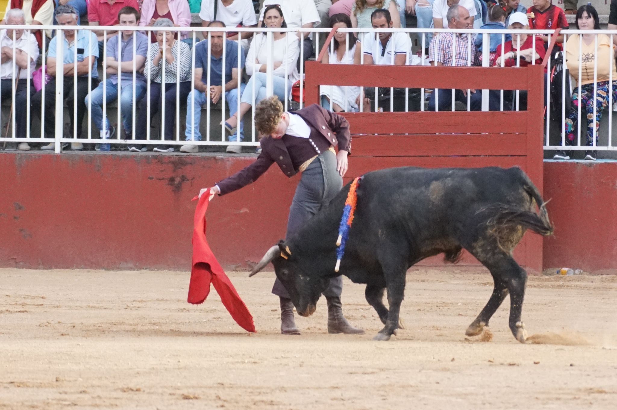 Primera clase práctica de tauromaquia de Salamaq