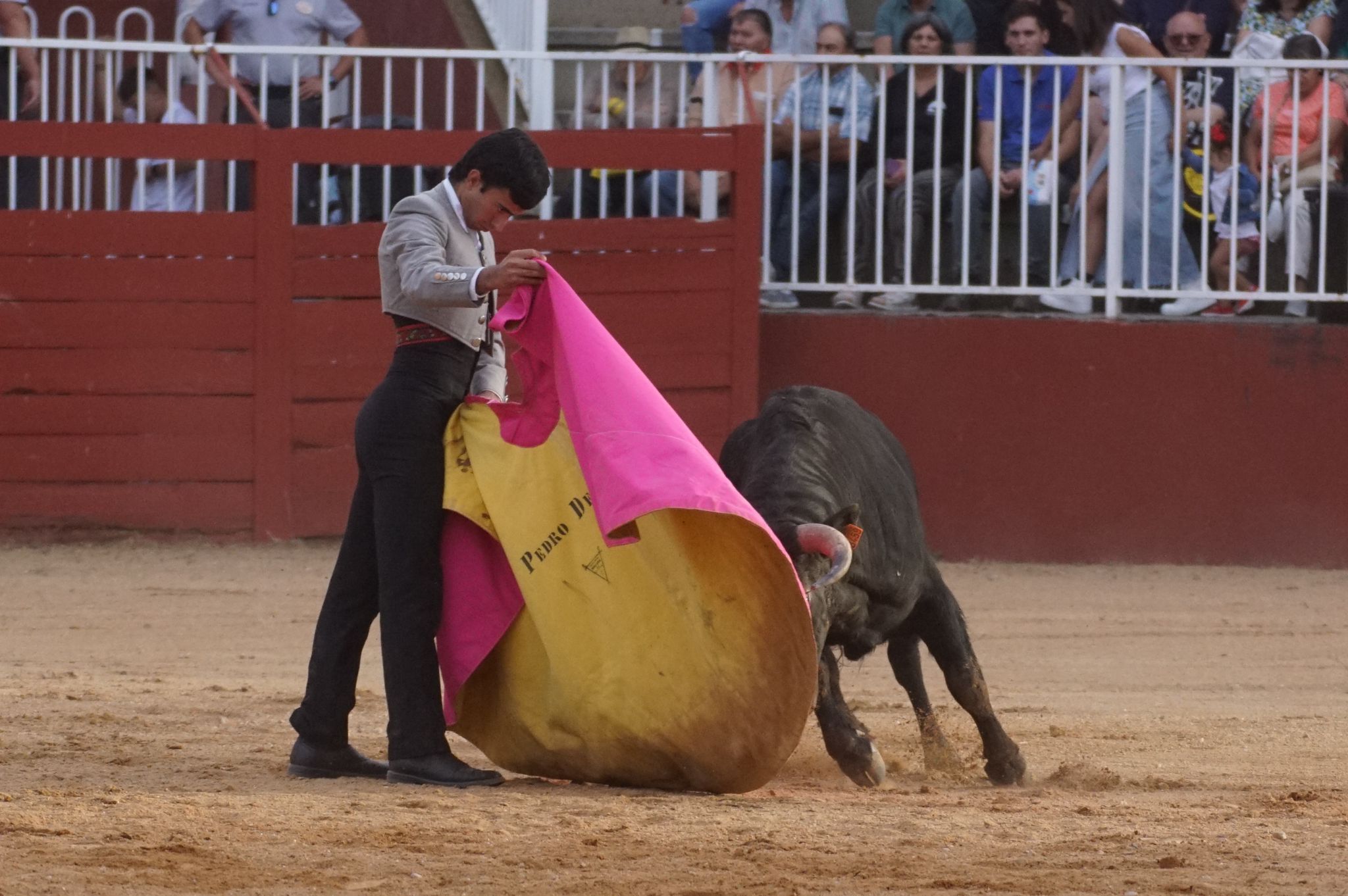 Primera clase práctica de tauromaquia de Salamaq