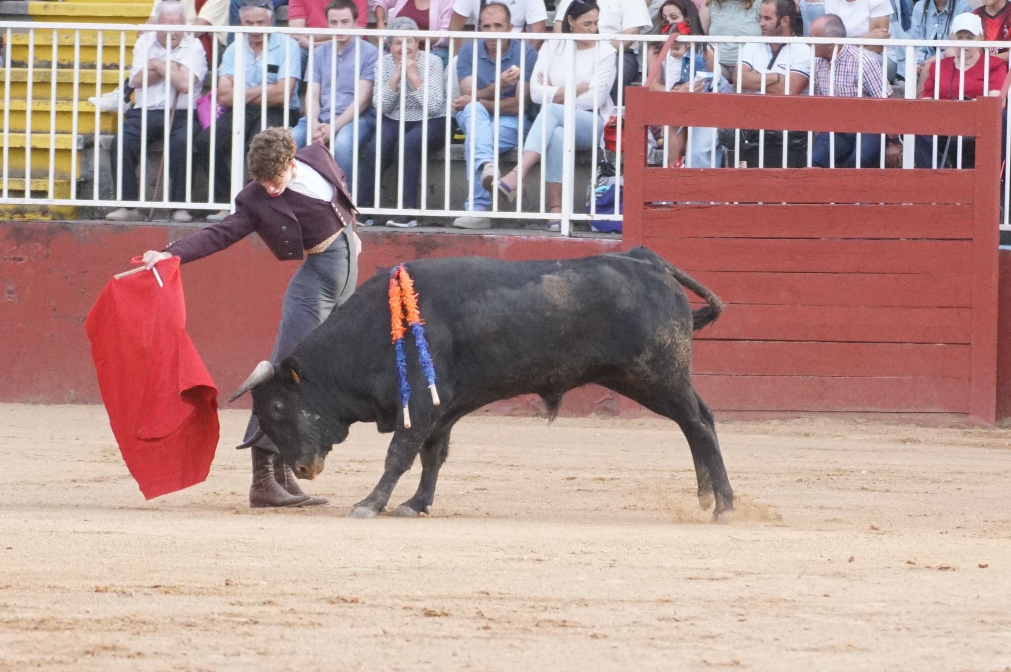 Primera clase práctica de tauromaquia de Salamaq