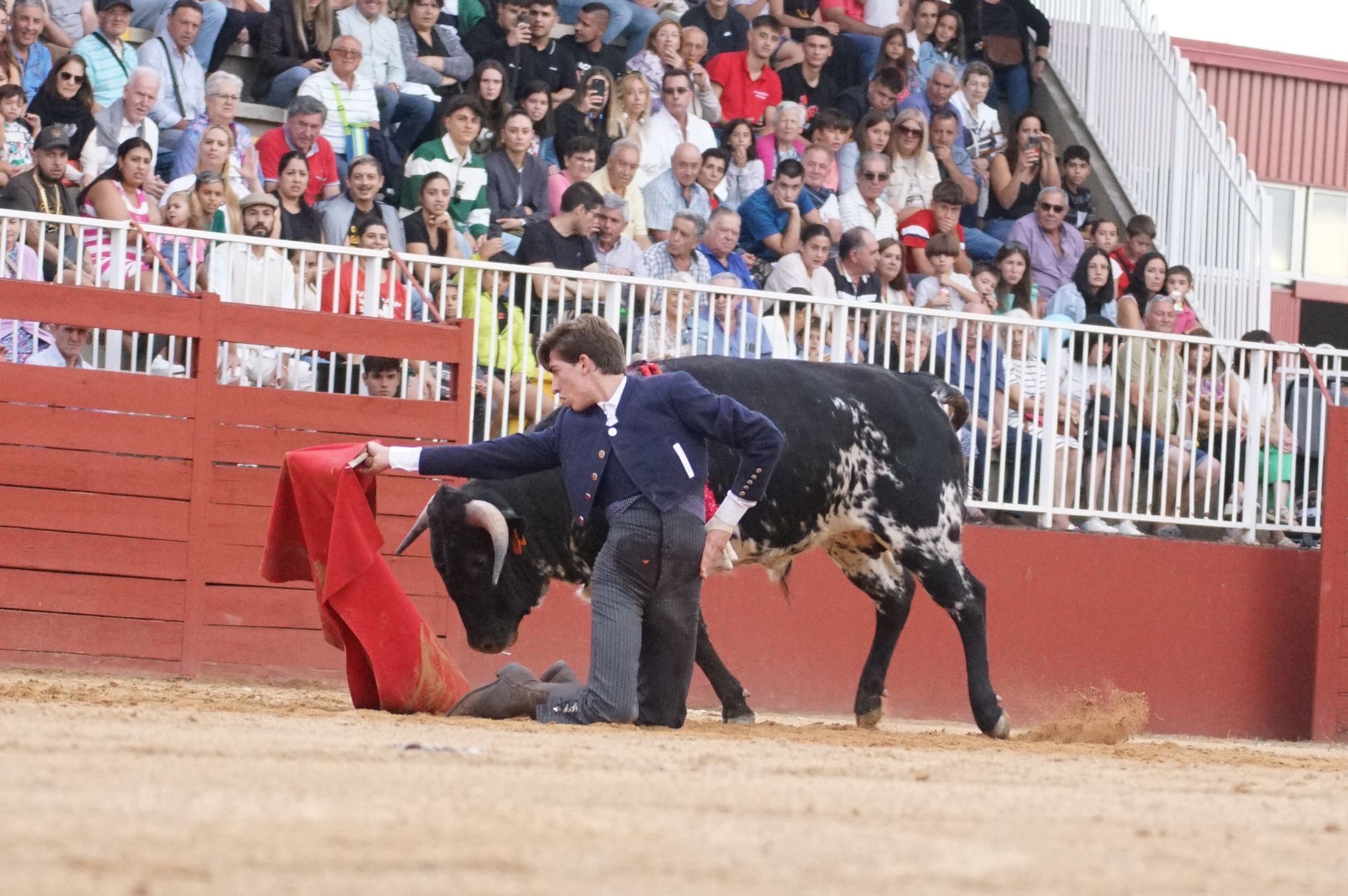 Primera clase práctica de tauromaquia de Salamaq