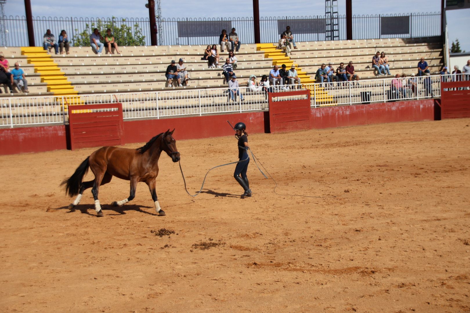 Exhibición doma clásica 