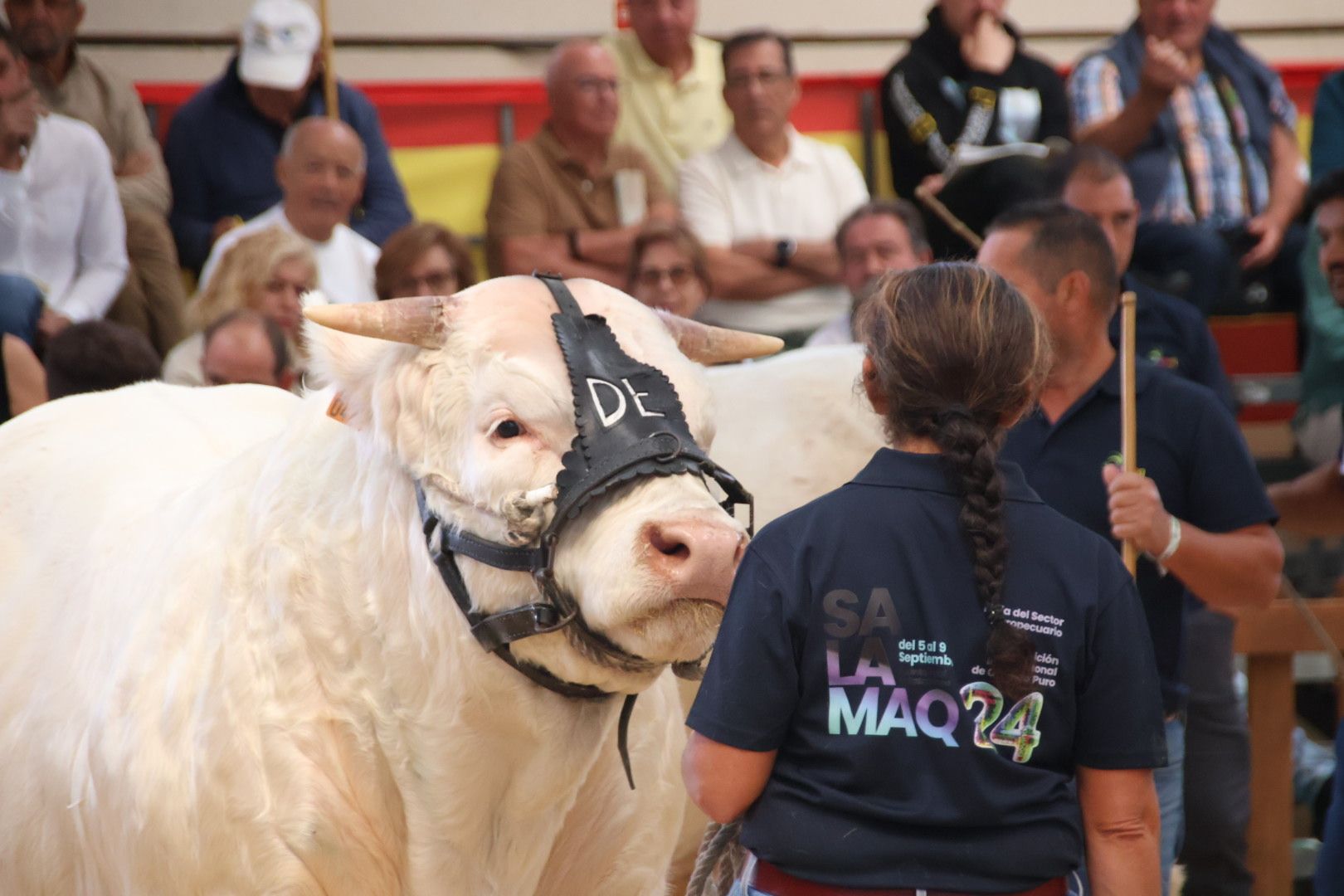 Concurso Charolesas