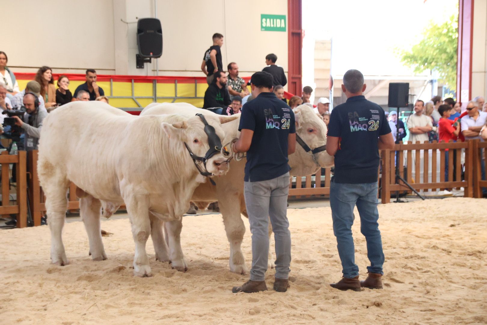 Concurso Charolesas