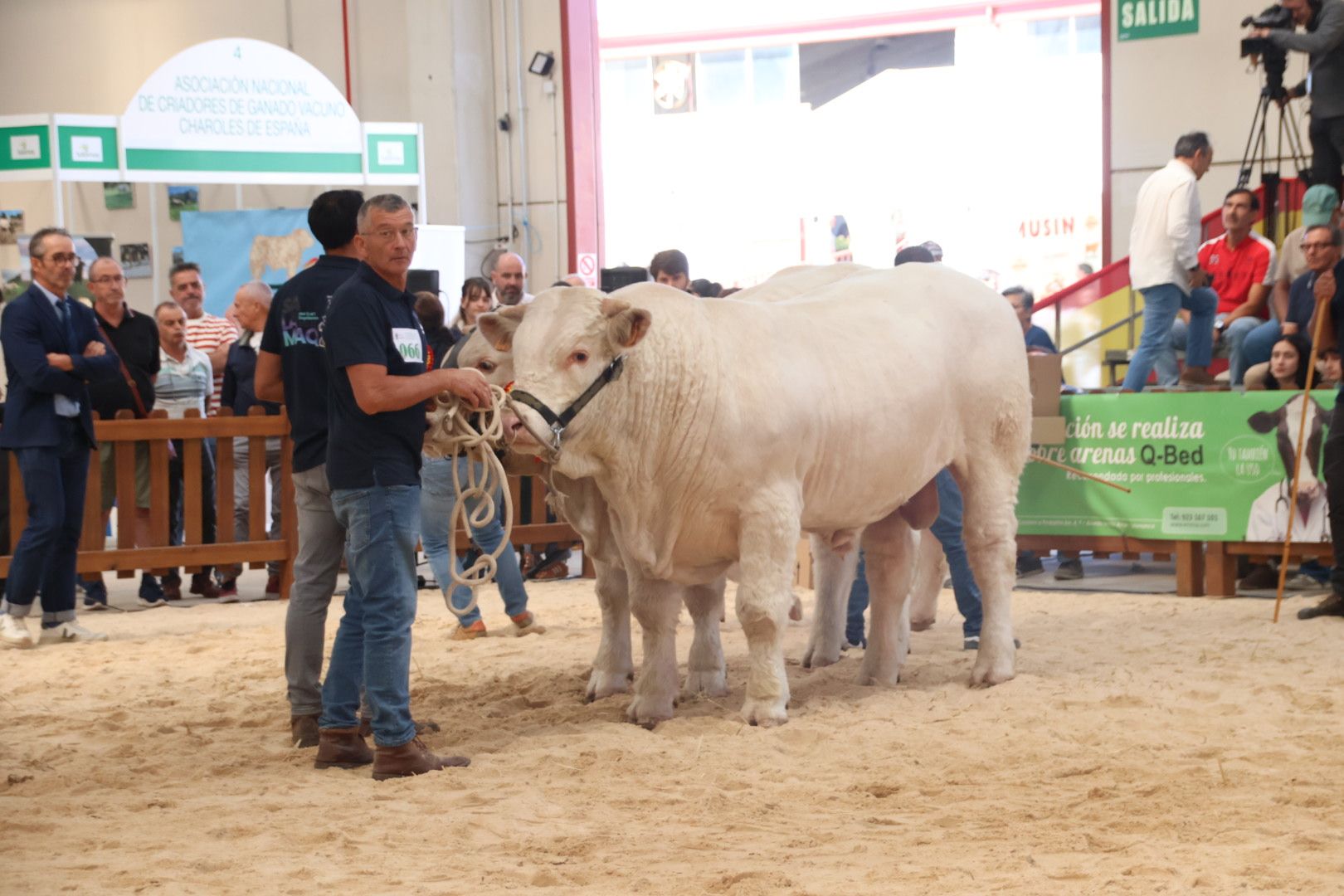 Concurso Charolesas