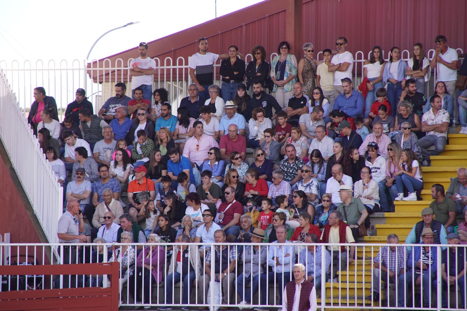 Clase de tauromaquia en Salamaq 2024. Juan Cánovas, Hugo Masiá y Ángel Lázaro