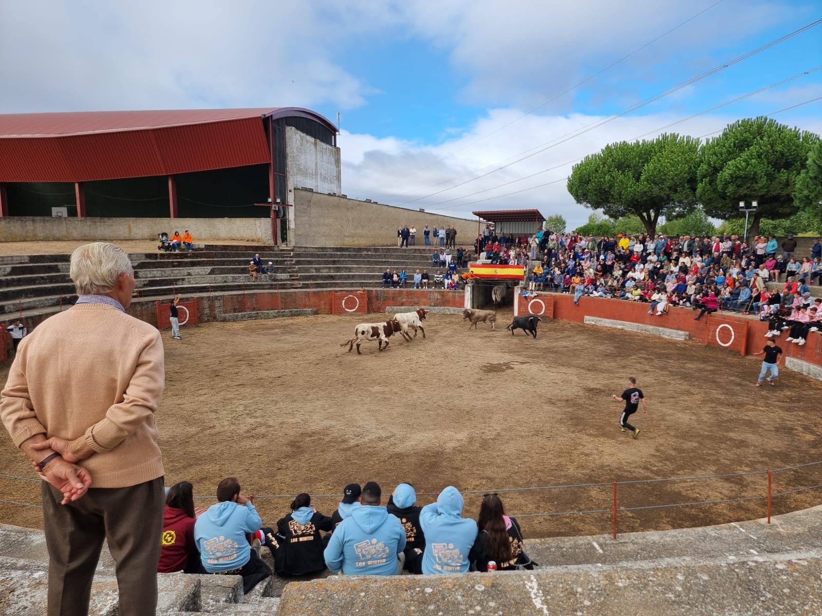 Encierro de cuatro novillos en Pereña 