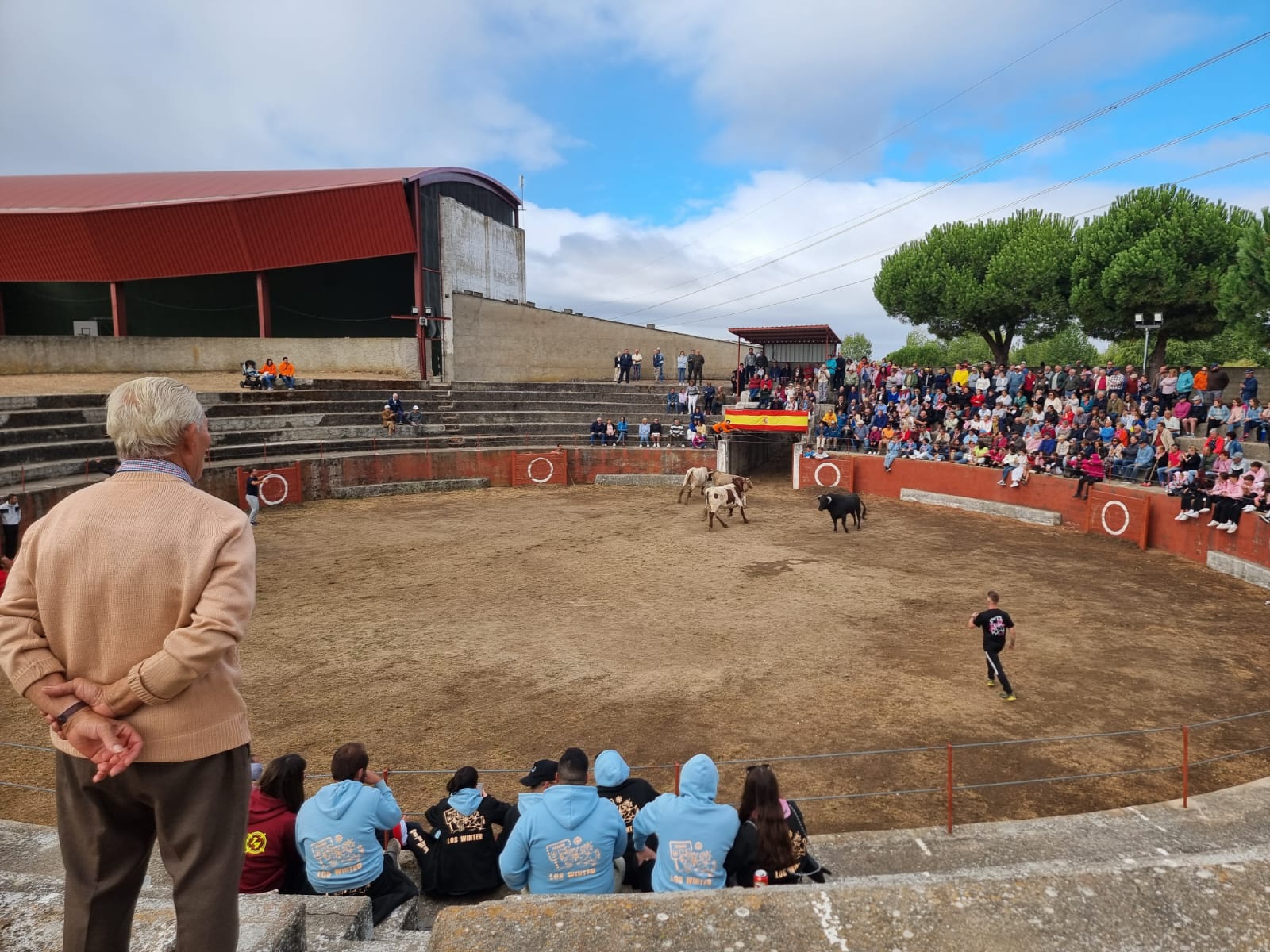 Encierro de cuatro novillos en Pereña 