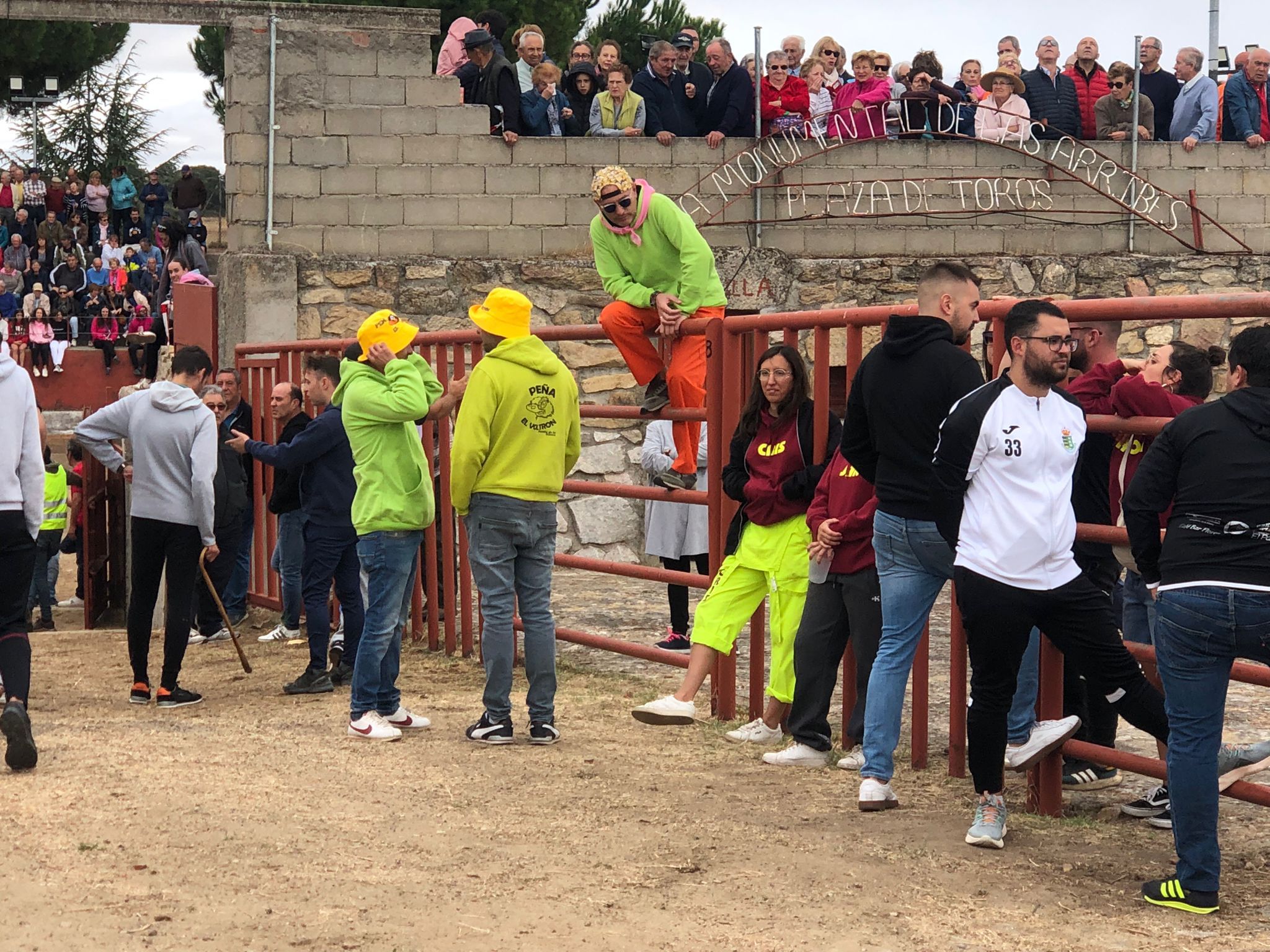 Encierro de cuatro novillos en Pereña 