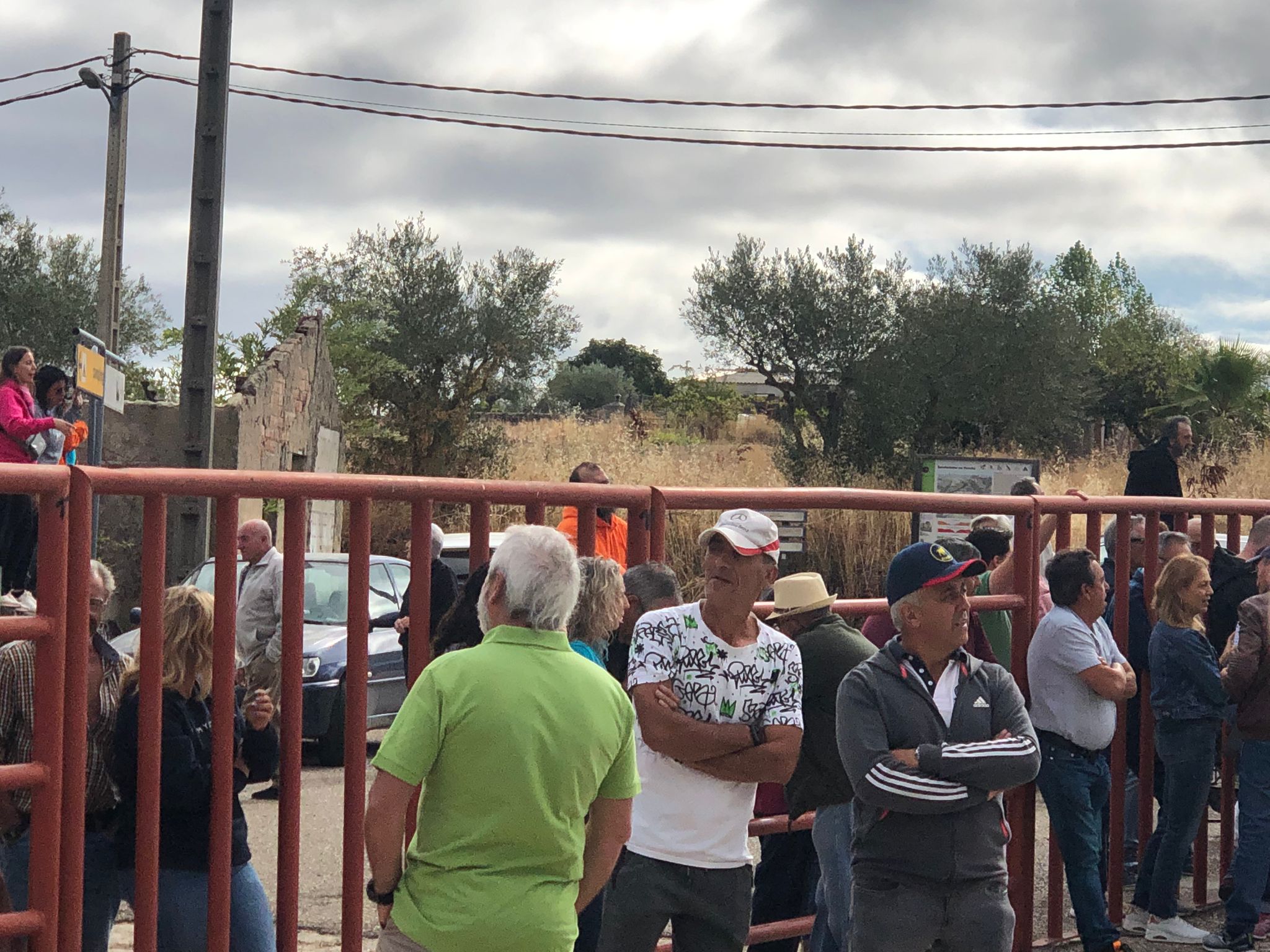 Encierro de cuatro novillos en Pereña 