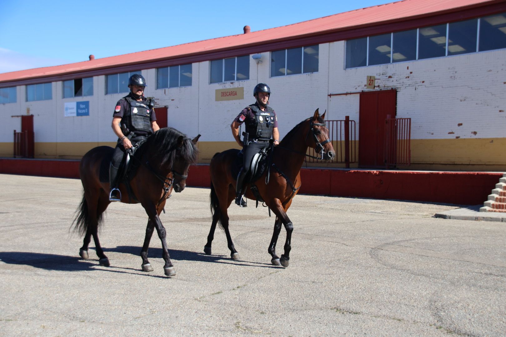 Efectivos de la Unidad  de Caballería de Madrid en Salamaq. Fotos Andrea M.