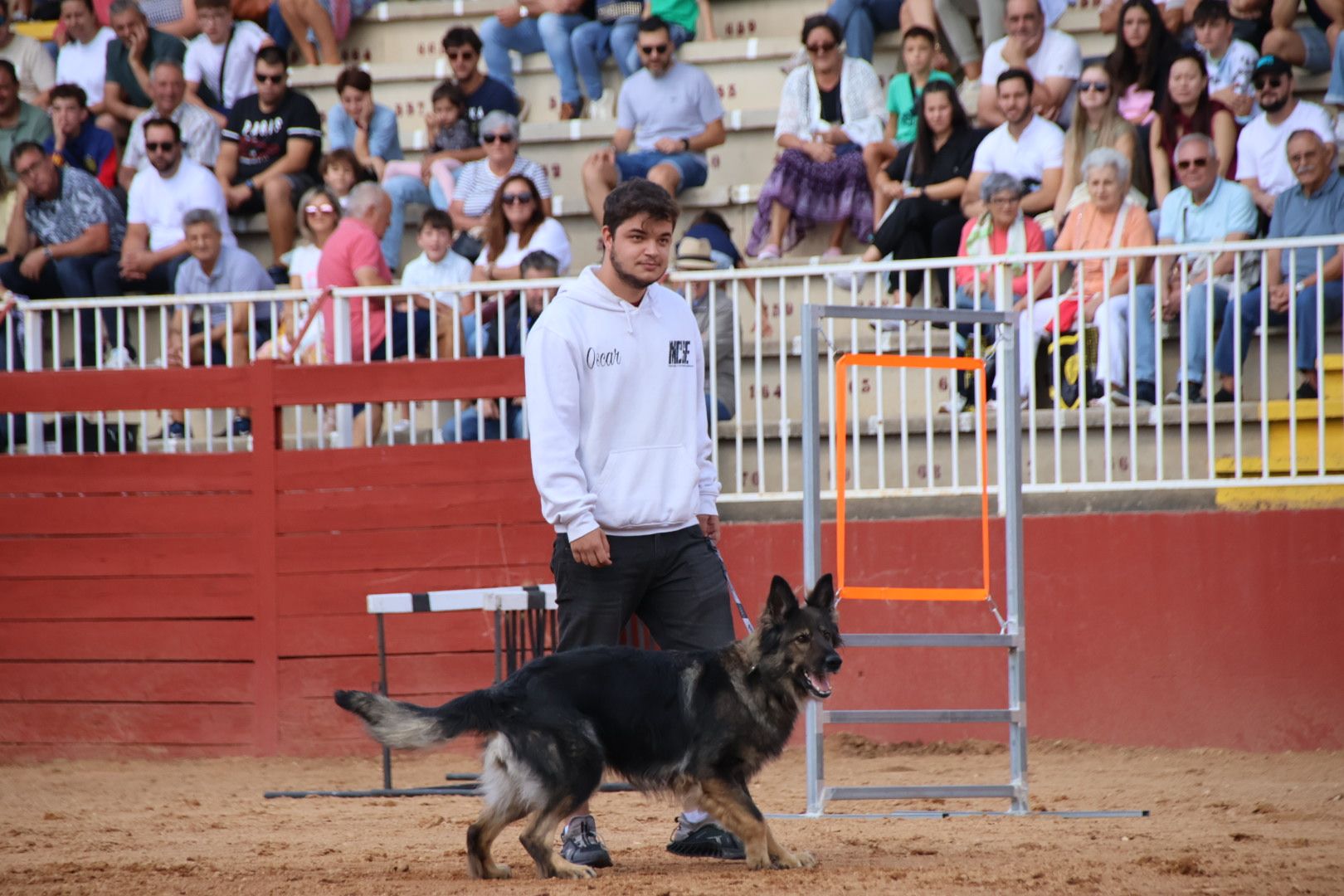 Exhibición unidad canina CMCC Avila y Exhibición razas equinas