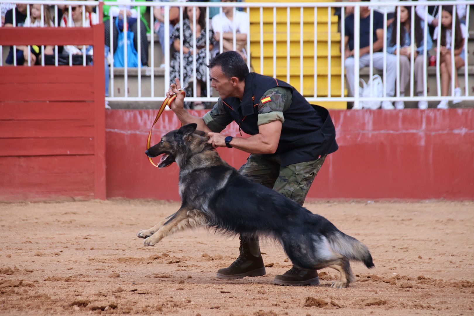 Exhibición unidad canina CMCC Avila y Exhibición razas equinas