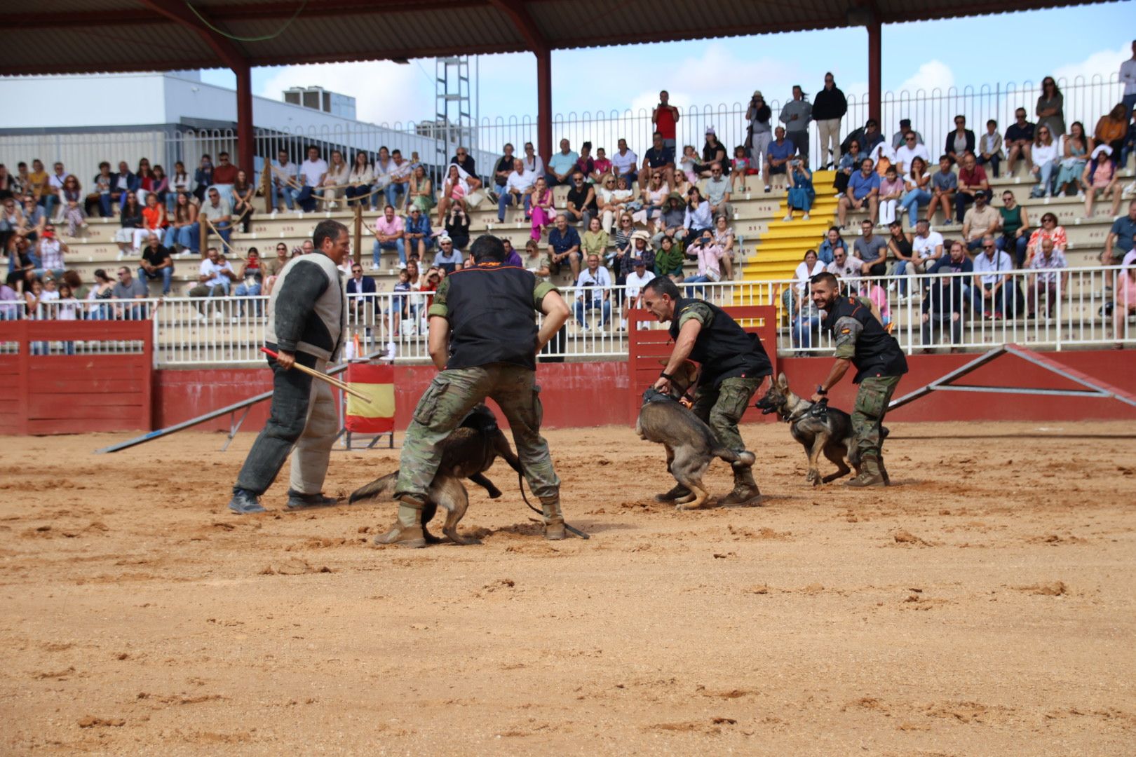 Exhibición unidad canina CMCC Avila y Exhibición razas equinas