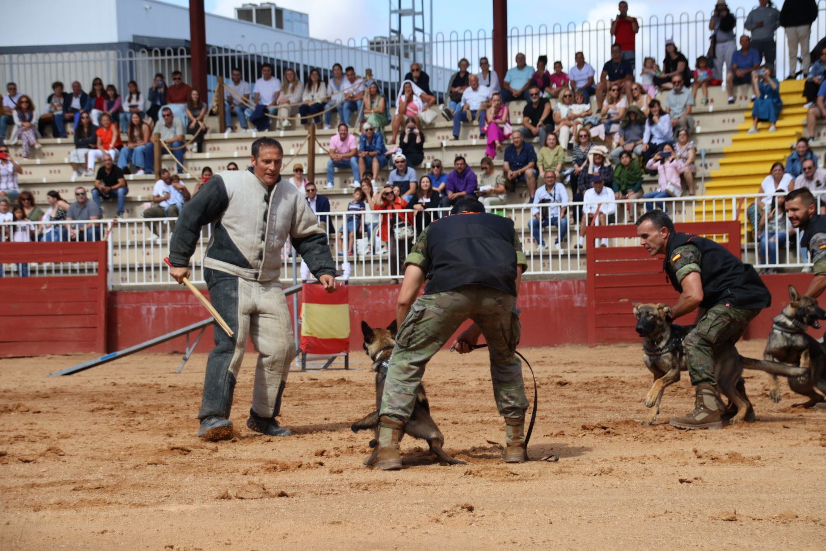 Exhibición unidad canina CMCC Avila y Exhibición razas equinas