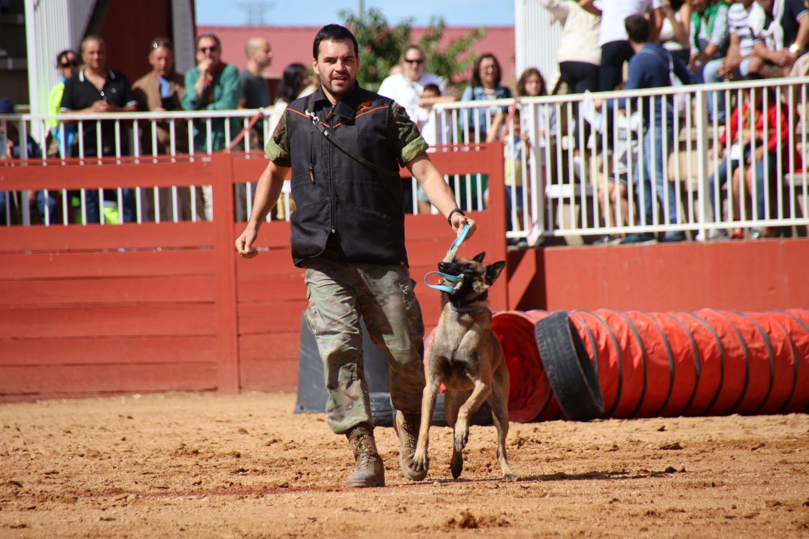 Exhibición unidad canina CMCC Avila y Exhibición razas equinas