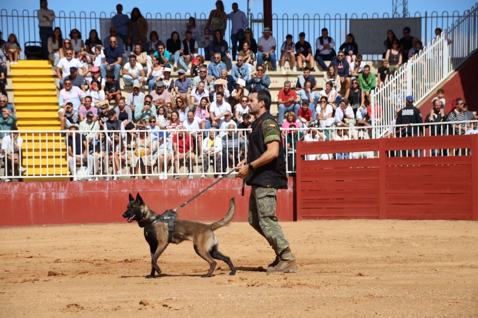 Exhibición unidad canina CMCC Avila y Exhibición razas equinas