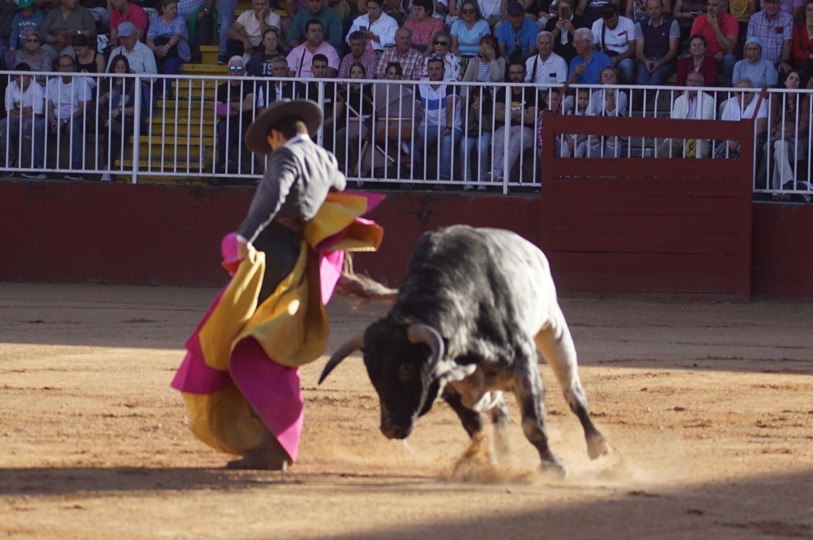 Clase práctica de tauromaquia de Salamaq 2024 del sábado, 7 de septiembre