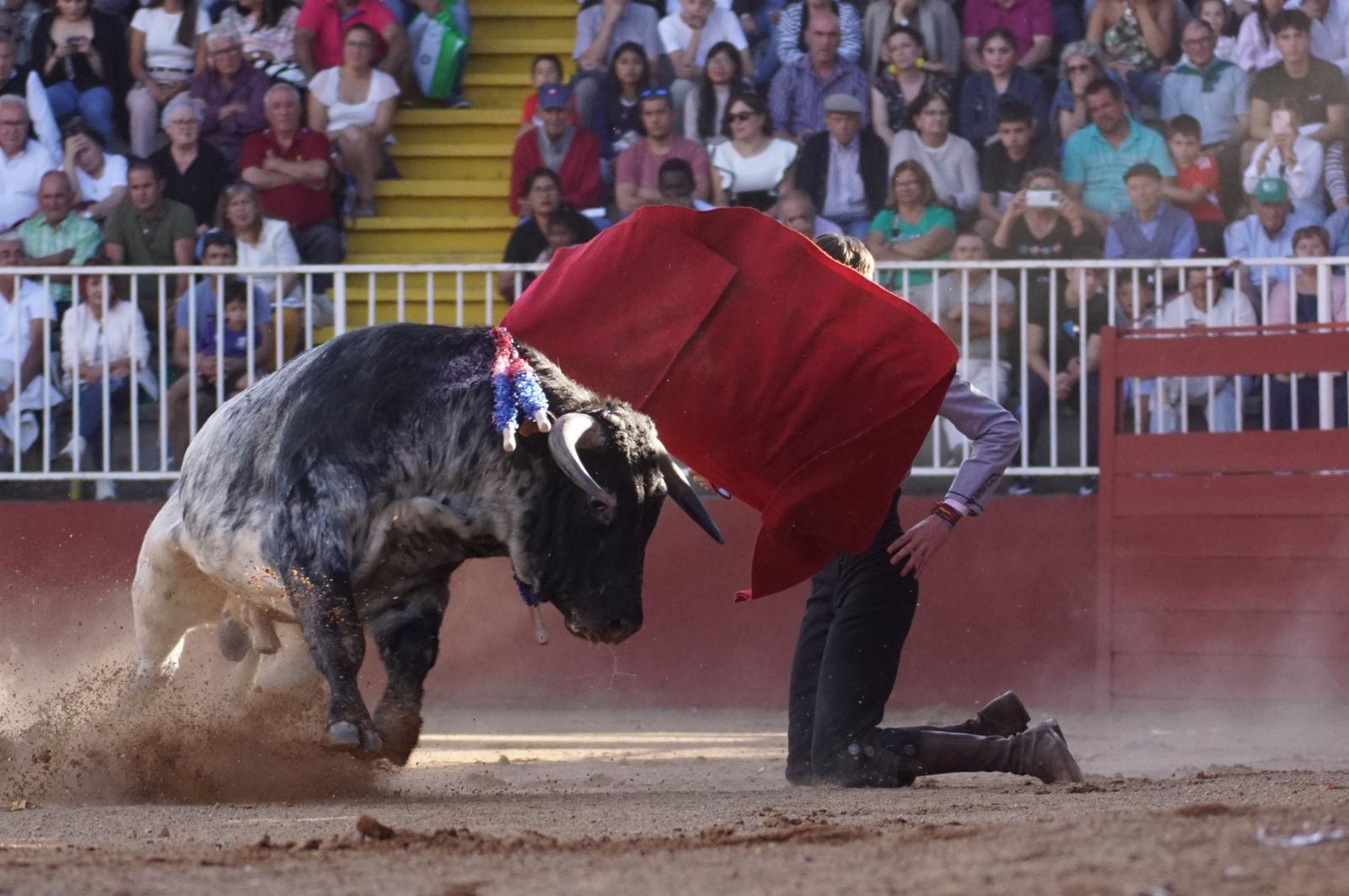 Clase práctica de tauromaquia de Salamaq 2024 del sábado, 7 de septiembre