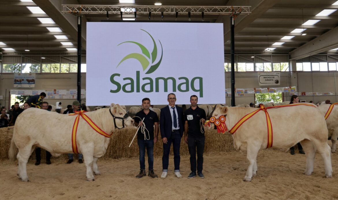 “Oriana” y “París” Campeonas Adulta y Joven del XXXV Concurso Nacional de Ganado Vacuno de la Raza Charolesa