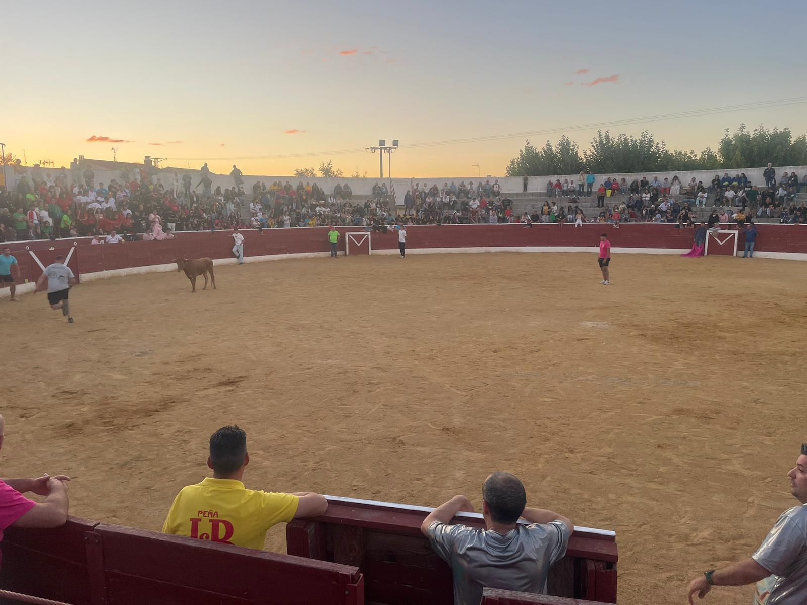 Grand Prix de peñas y capea de Villoria