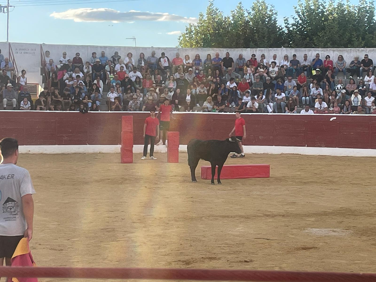 Grand Prix de peñas y capea de Villoria