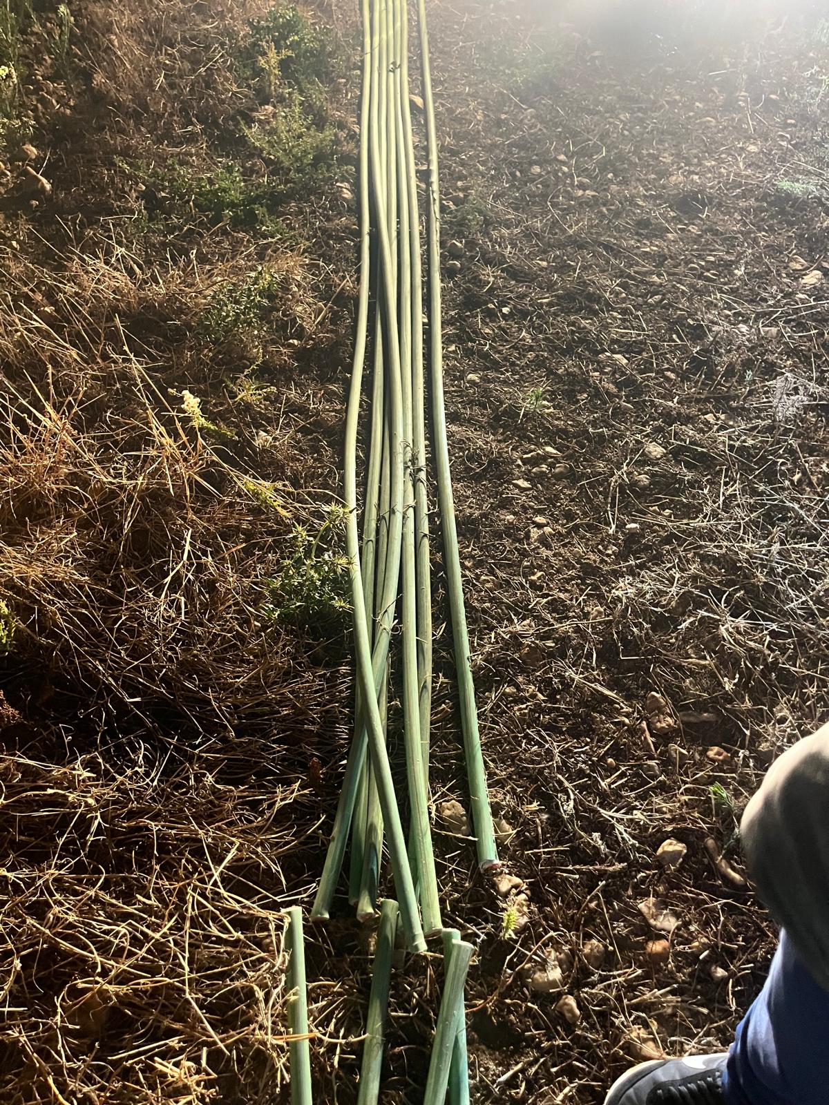 Vuelven a saquear cableado de cobre de una finca de Macotera con un tractor robado