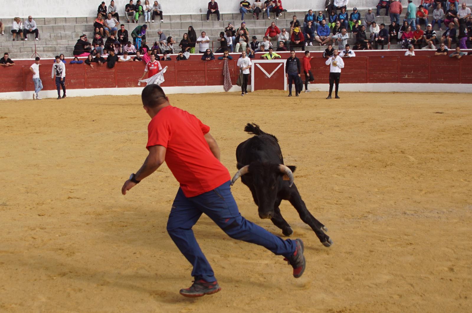 Encierro de Villoria