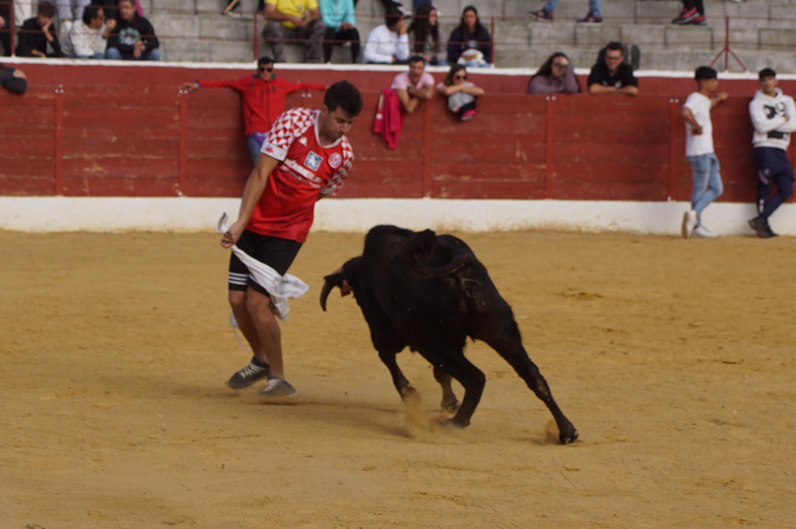 Encierro de Villoria