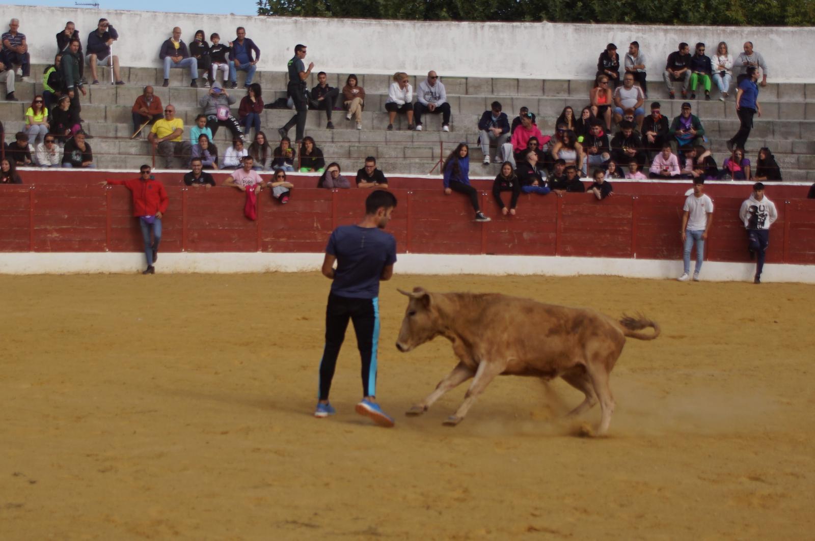 Encierro de Villoria