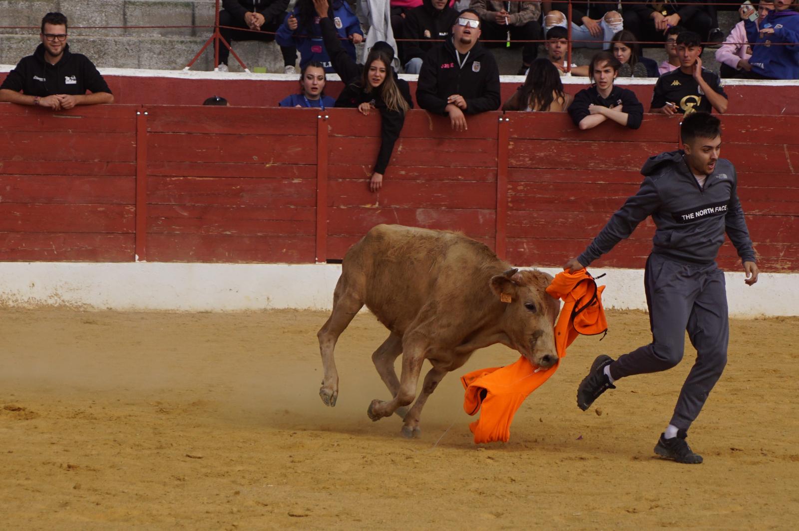 Encierro de Villoria