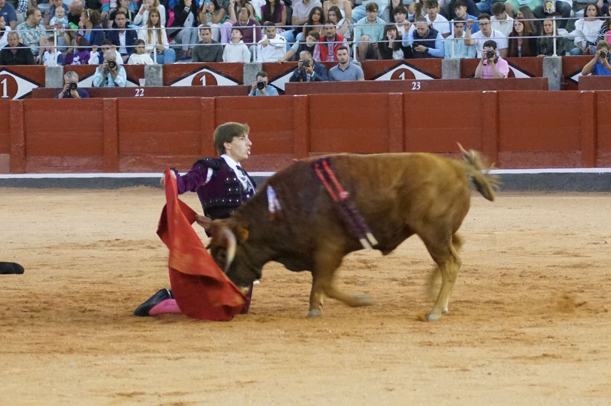 Clase práctica en la Feria Taurina de Salamanca 2024