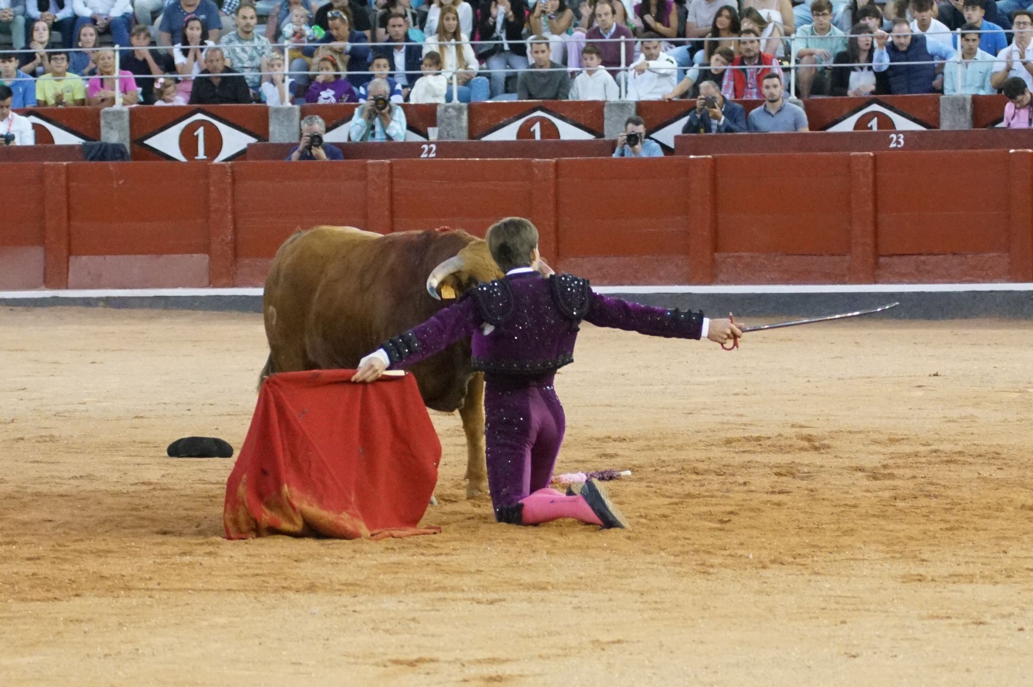 Clase práctica en la Feria Taurina de Salamanca 2024