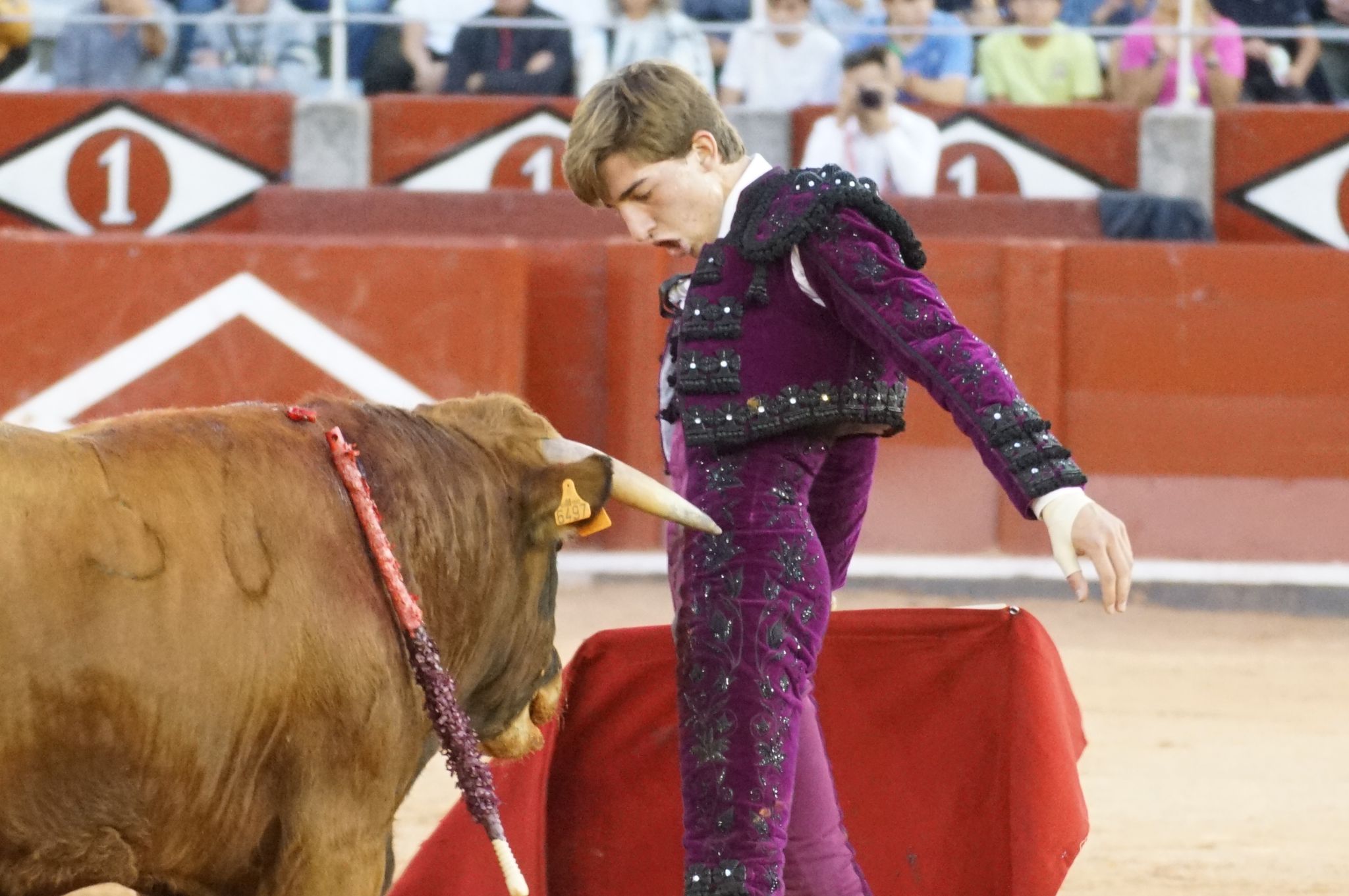 Clase práctica en la Feria Taurina de Salamanca 2024