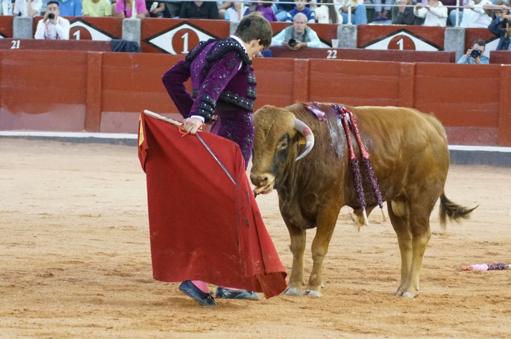 Clase práctica en la Feria Taurina de Salamanca 2024