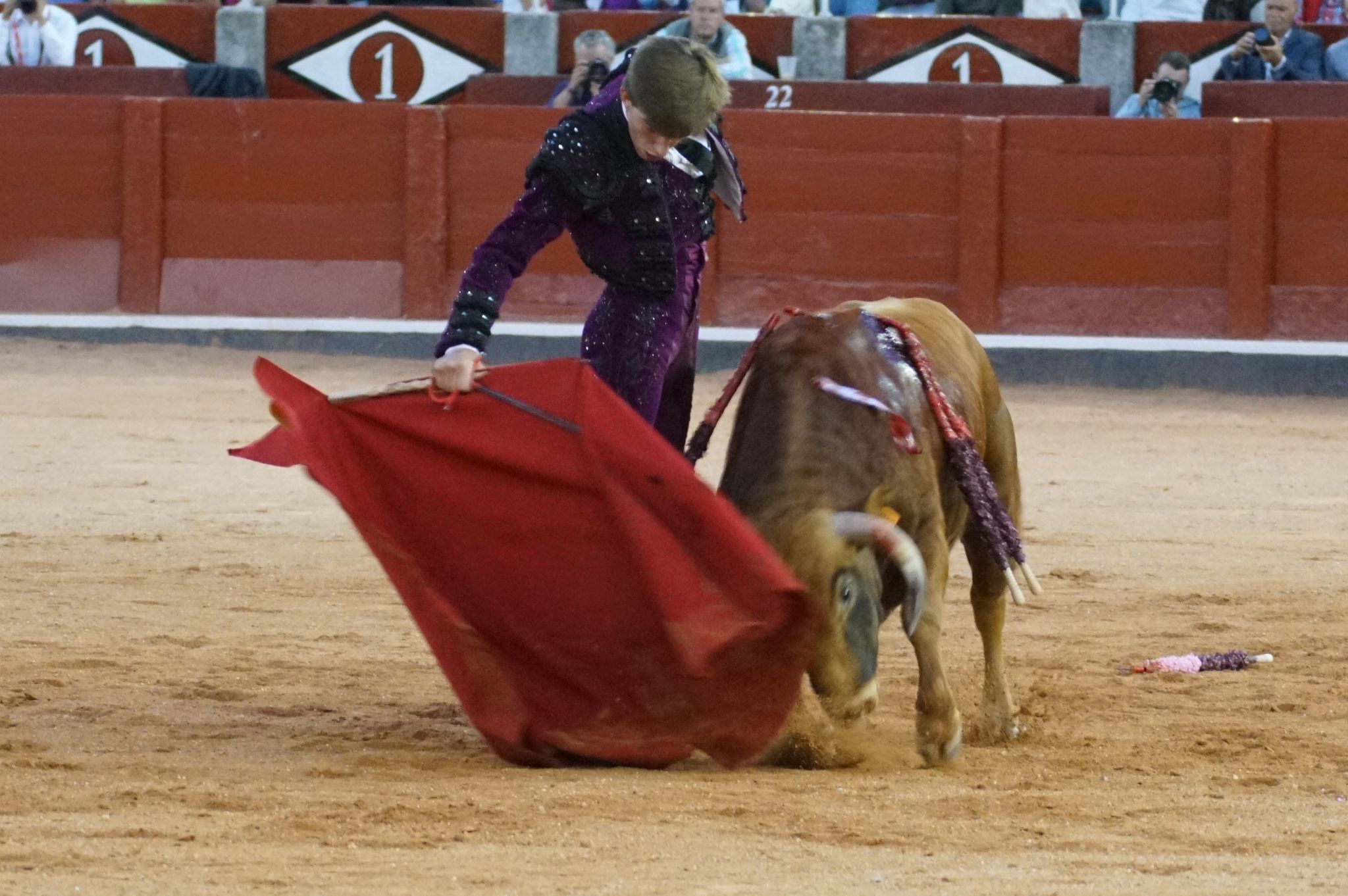 Clase práctica en la Feria Taurina de Salamanca 2024