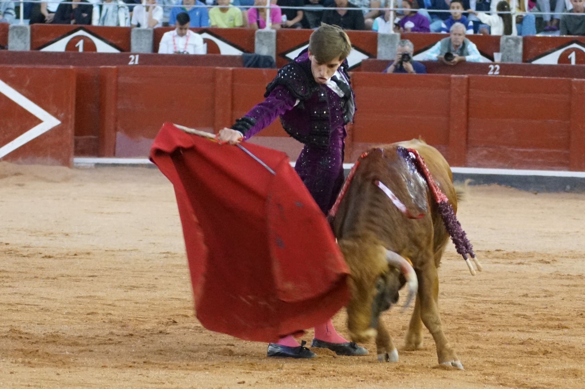 Clase práctica en la Feria Taurina de Salamanca 2024