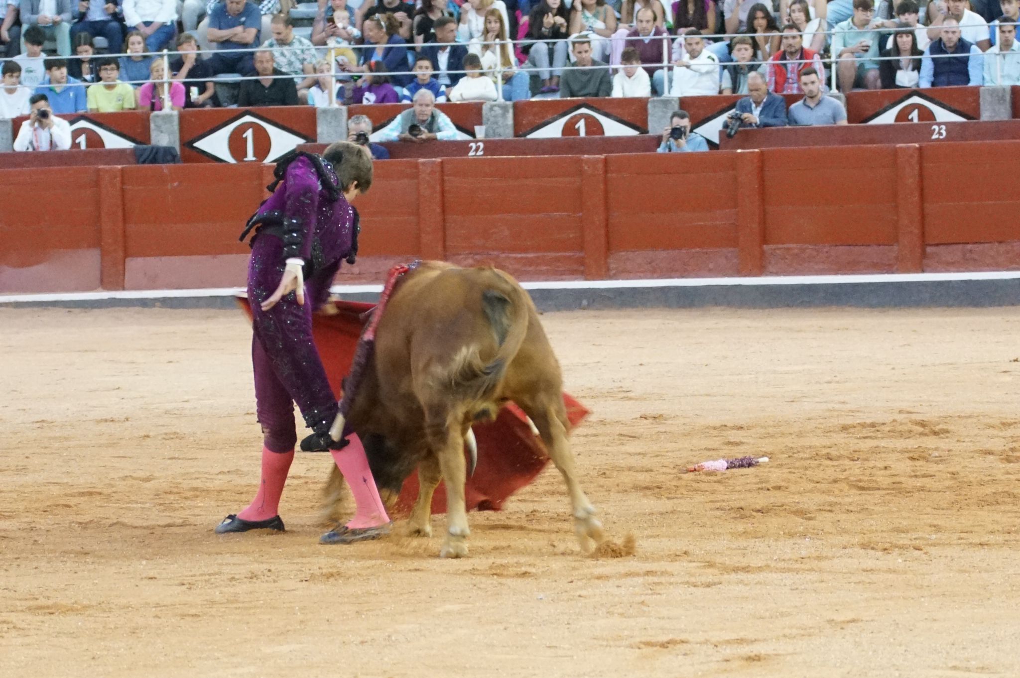 Clase práctica en la Feria Taurina de Salamanca 2024