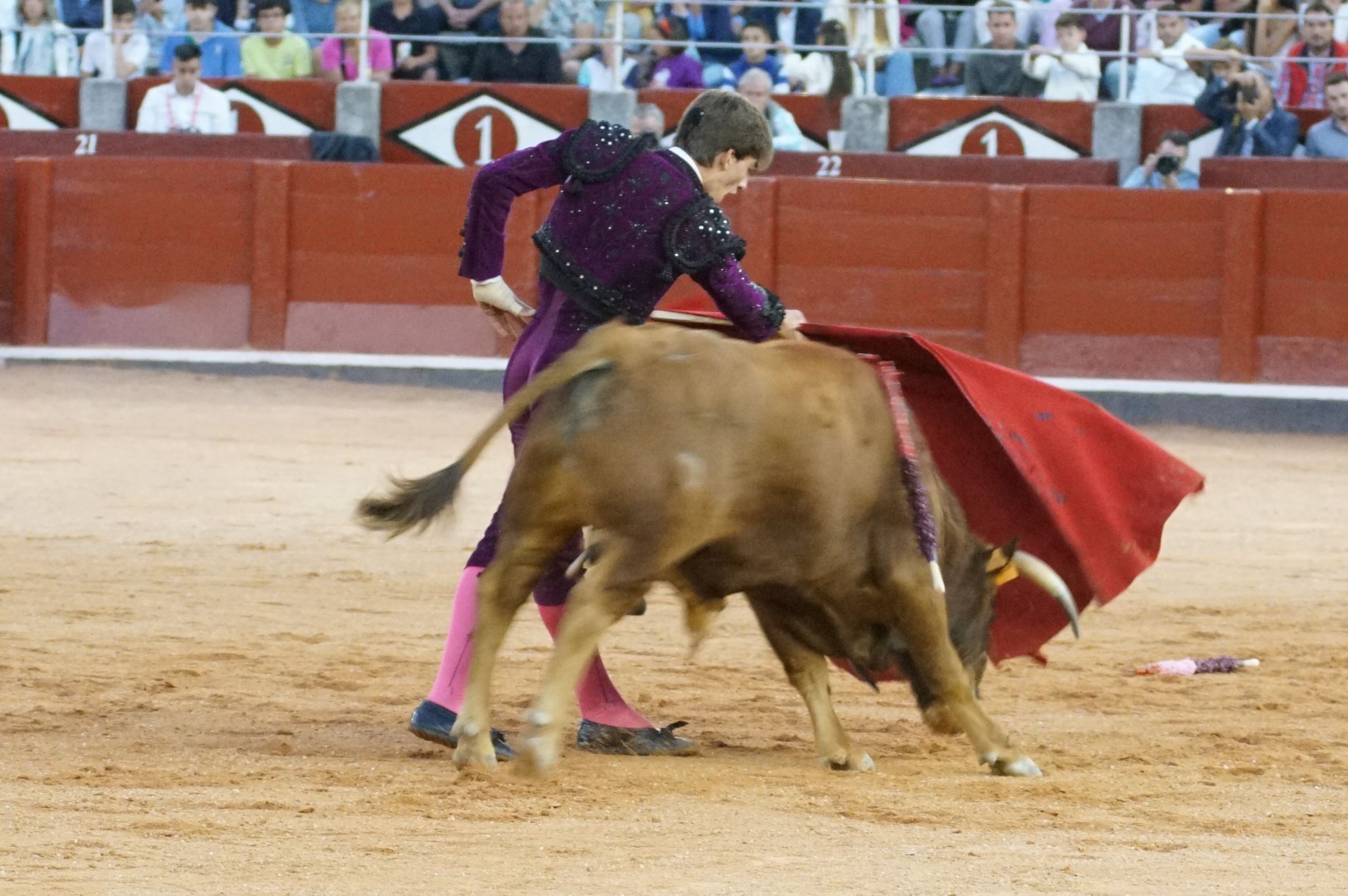 Clase práctica en la Feria Taurina de Salamanca 2024