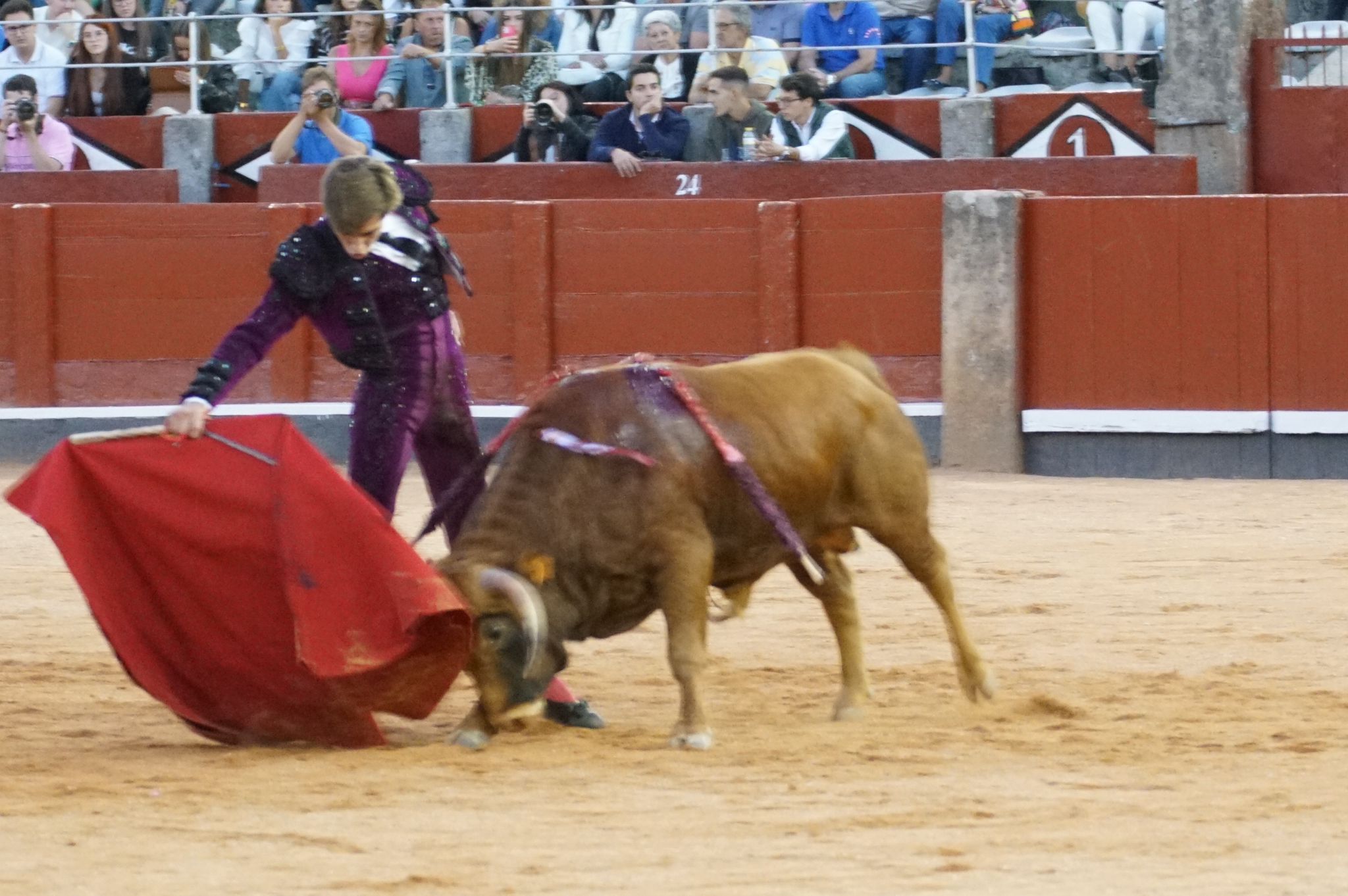 Clase práctica en la Feria Taurina de Salamanca 2024