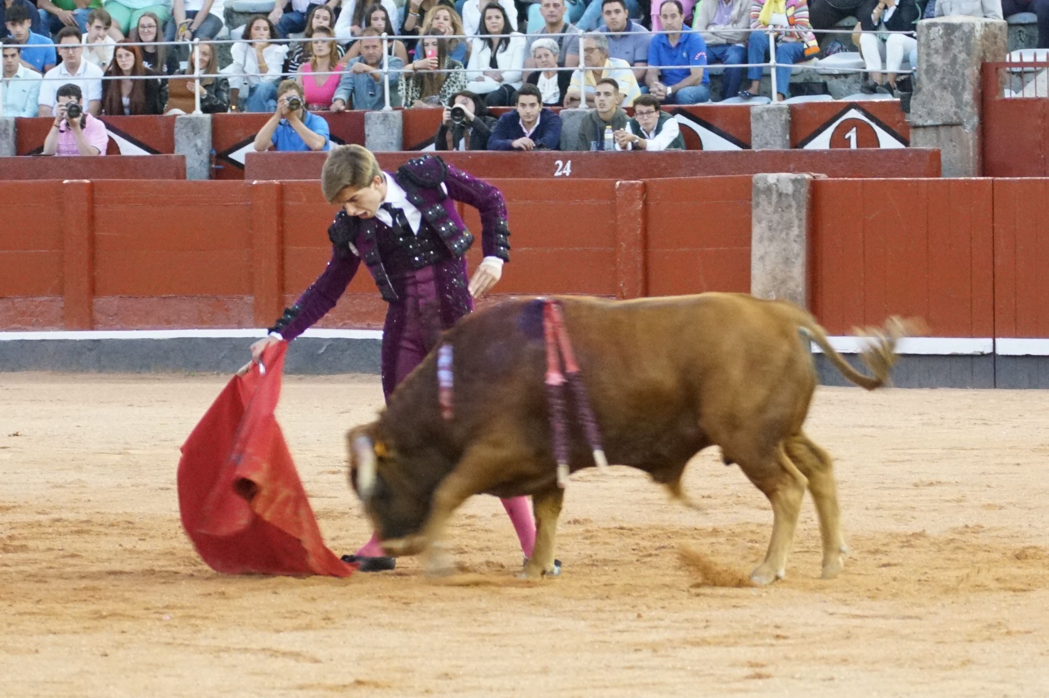 Clase práctica en la Feria Taurina de Salamanca 2024