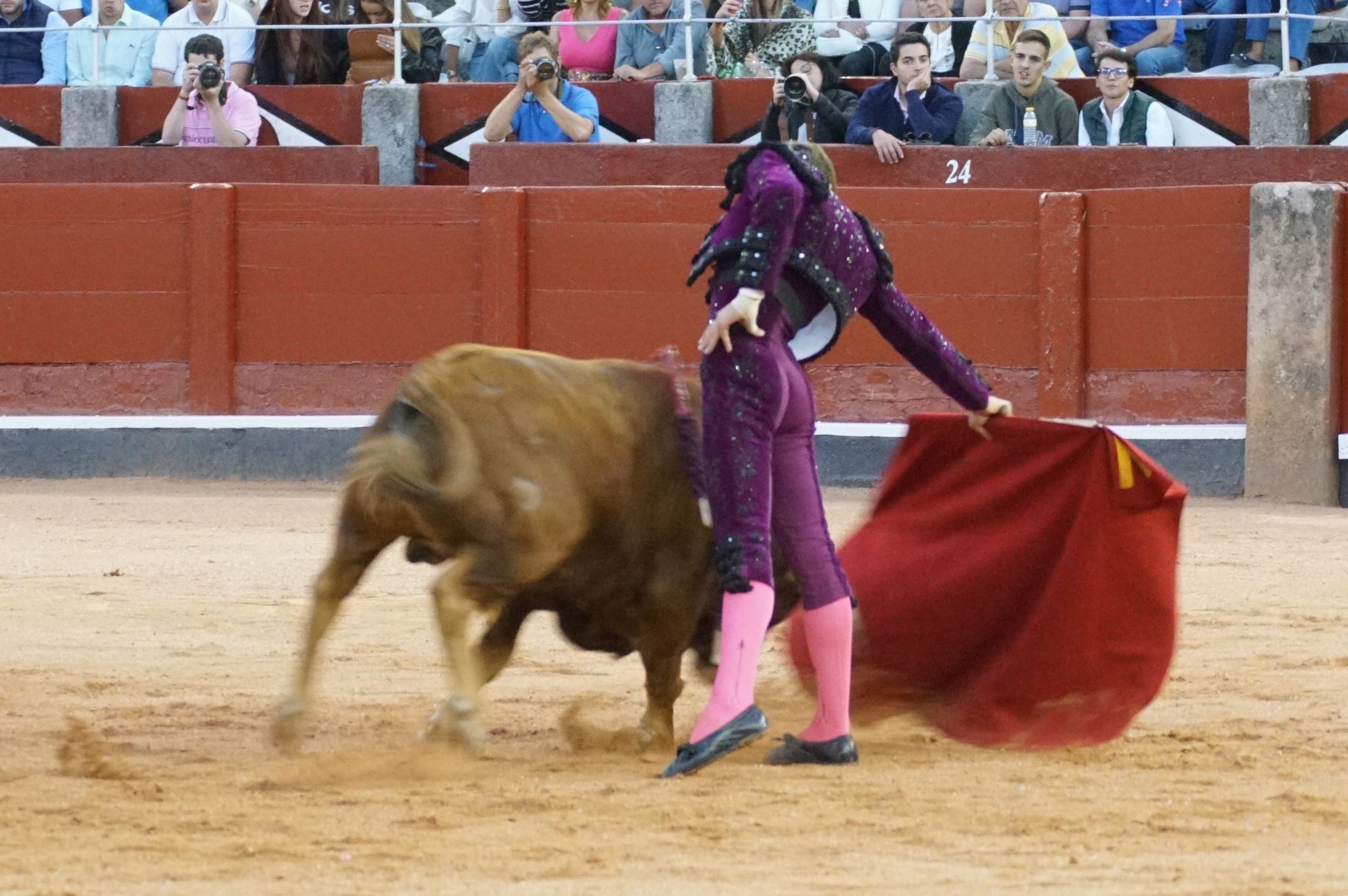 Clase práctica en la Feria Taurina de Salamanca 2024