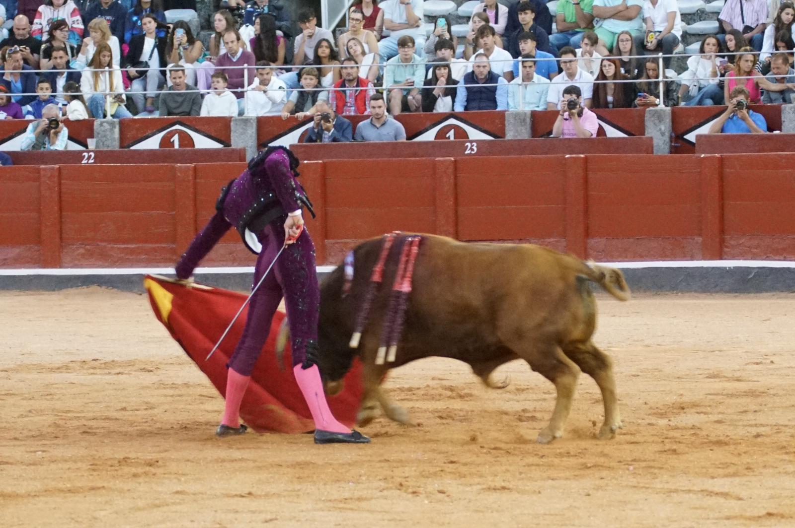 Clase práctica en la Feria Taurina de Salamanca 2024