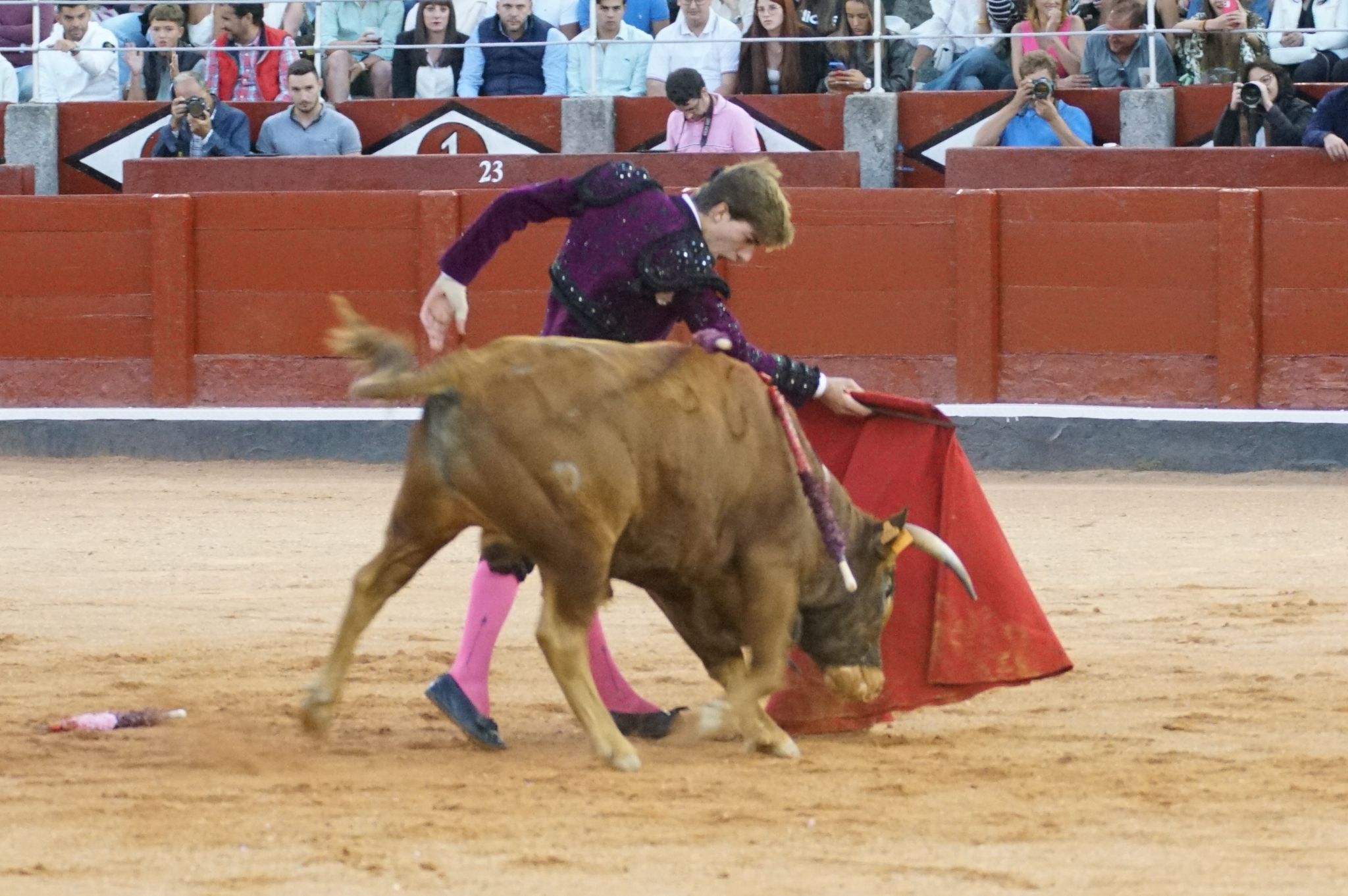 Clase práctica en la Feria Taurina de Salamanca 2024